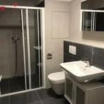 Rent 2 bedroom apartment of 62 m² in Vyškov