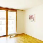 Rent 1 bedroom apartment of 29 m² in Prague