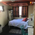 Rent 6 bedroom apartment in Dunedin