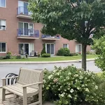 Appartement à Louer - 10 avenue Vermont, Montréal - 29 photos | Logis Québec