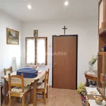 Rent 2 bedroom apartment of 65 m² in Roma