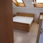 Rent 3 bedroom house in Karlovy Vary