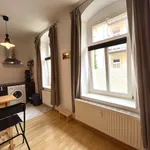 Rent 1 bedroom apartment of 31 m² in Dresden