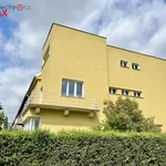 Rent 4 bedroom apartment of 75 m² in Praha