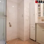 Rent 4 bedroom apartment of 115 m² in Brno