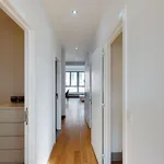 Rent 1 bedroom apartment in Antwerpen