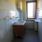 Rent 3 bedroom apartment of 80 m² in Turin