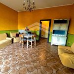 Rent 3 bedroom apartment of 85 m² in Campobasso