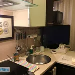 Rent 2 bedroom apartment of 40 m² in Pisa