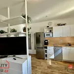 Rent 1 bedroom apartment in Jablonec nad Nisou