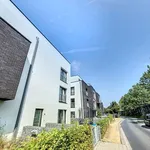 Rent 1 bedroom apartment in Bruxelles