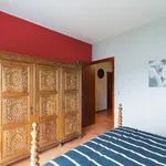 Rent 6 bedroom apartment in Porto