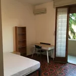 Rent a room in Bologna