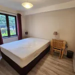 Rent 1 bedroom apartment in  Dublin 6