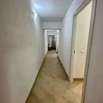 Appartamento arredato con terrazzo Centro