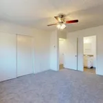 Rent 1 bedroom apartment in Vista