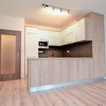 Rent 2 bedroom apartment of 55 m² in Prague