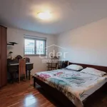 Rent 4 bedroom apartment of 140 m² in Grad Rijeka