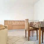 Rent 3 bedroom apartment of 88 m² in Monterotondo