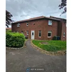 Rent 3 bedroom house in North East England