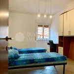 Rent 1 bedroom apartment of 70 m² in Roma