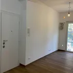 Rent 1 bedroom apartment of 50 m² in Roma