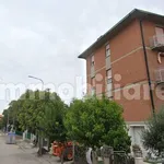 Rent 3 bedroom apartment of 75 m² in Ravenna