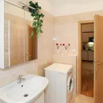 Rent 2 bedroom apartment of 48 m² in Prague