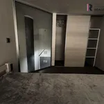 Rent 1 bedroom apartment of 41 m² in Zlín