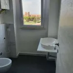 Rent 2 bedroom apartment of 80 m² in Rome