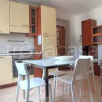 Rent 4 bedroom apartment of 70 m² in Ancona