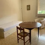 Rent 4 bedroom apartment of 120 m² in Bologna