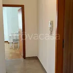 Rent 5 bedroom apartment of 137 m² in Padova