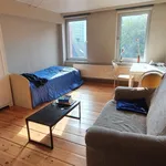 Rent 1 bedroom apartment in Leuven