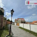 Rent 1 bedroom apartment of 30 m² in Mikulov