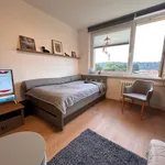 Rent 1 bedroom apartment in Prague