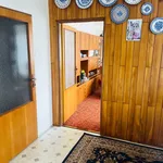 Rent 4 bedroom house in Uherské Hradiště