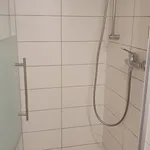 Pronajměte si 2 ložnic/e byt o rozloze 46 m² v Prague