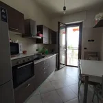 Rent 5 bedroom apartment in Milan