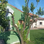 Alquiler Casa con Finca en Quintes, Villaviciosa. 1.650 €