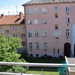 Rent 1 bedroom apartment of 40 m² in České Budějovice