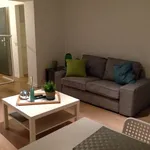 Rent 1 bedroom apartment in brussels