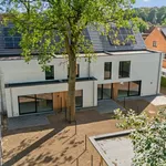 Huur 4 slaapkamer huis van 1193 m² in Kalmthout