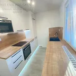 Pronájem bytu 2+1 54m²