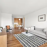 Rent 1 bedroom apartment in New York