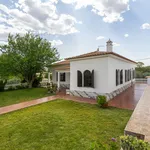 Rent 4 bedroom house of 200 m² in Faro