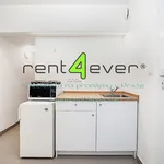 Rent 2 bedroom apartment of 50 m² in Capital City of Prague