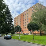 Rent 1 bedroom apartment in Přerov