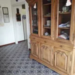 Rent 3 bedroom apartment of 80 m² in Massa