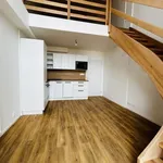 Rent 2 bedroom apartment in Opava